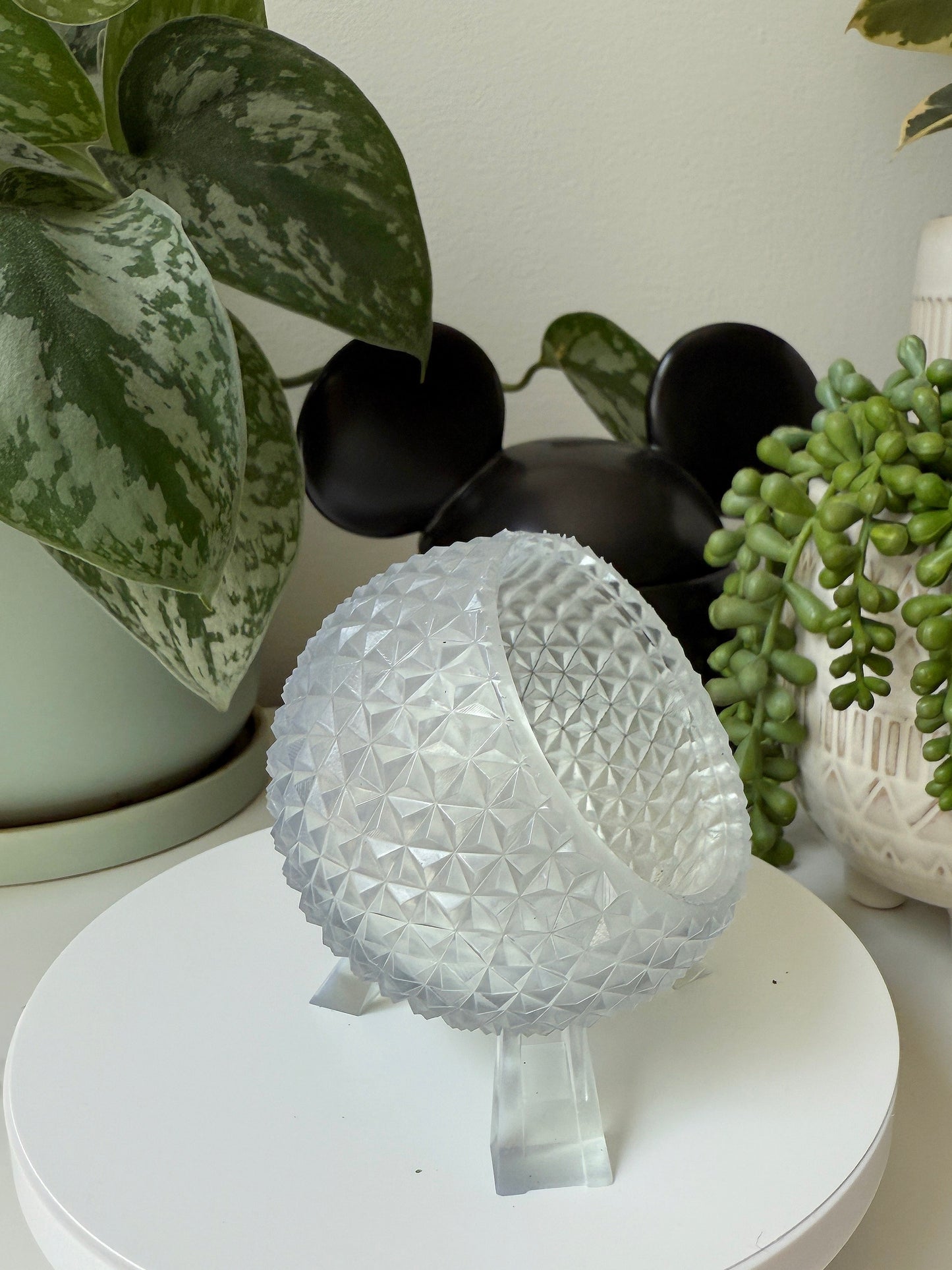 The Terrarium of Tomorrow -TOT Planter