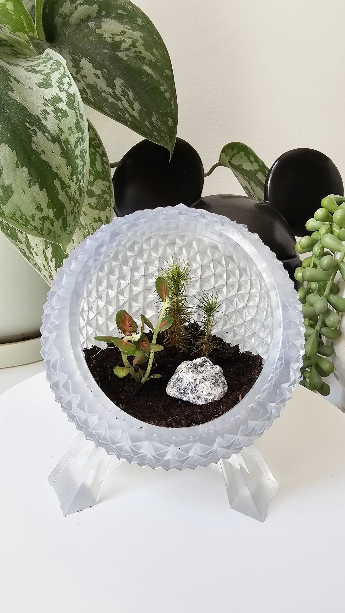 The Terrarium of Tomorrow -TOT Planter