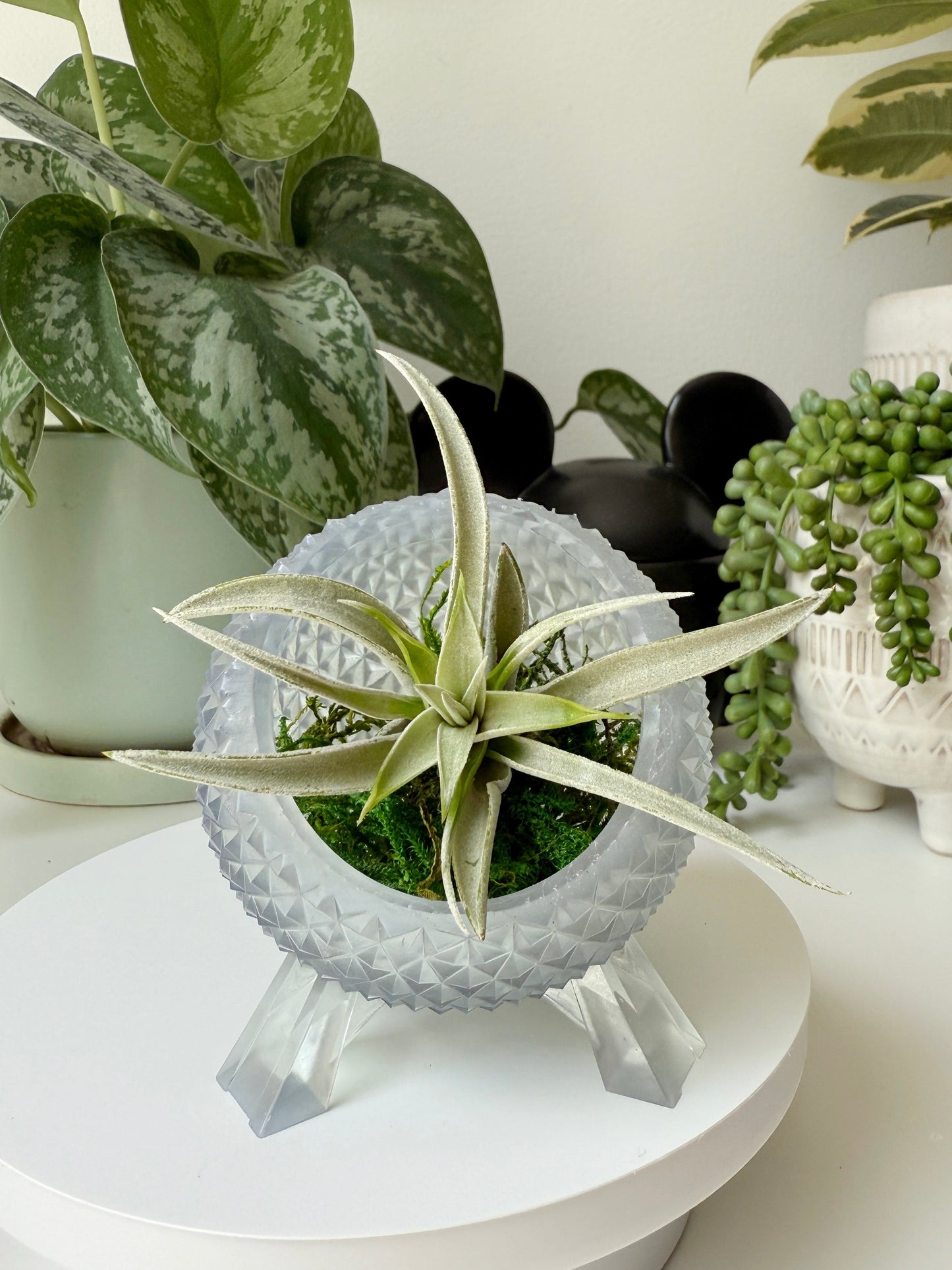 The Terrarium of Tomorrow -TOT Planter